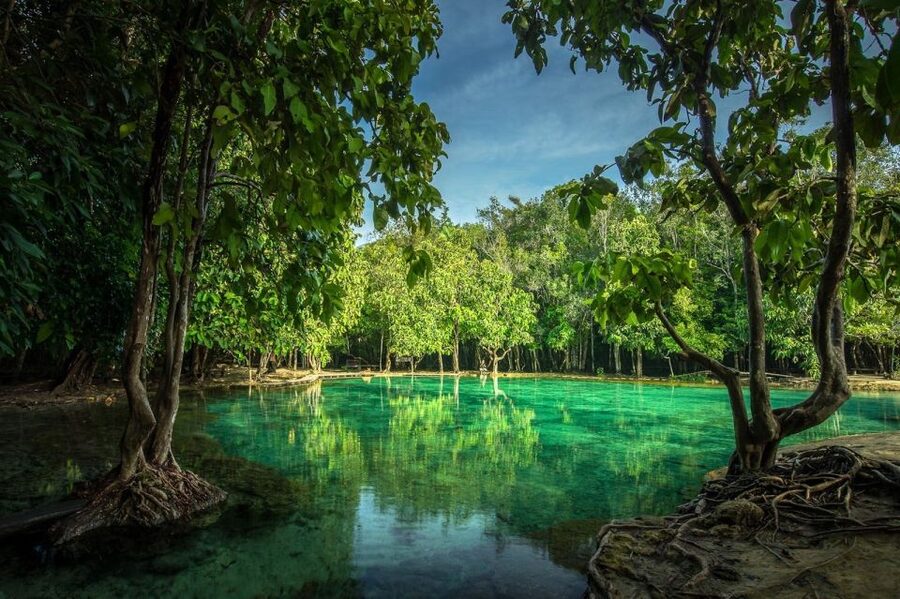 Krabi: Tiger Temple, Hot Springs & Crystal Pool Jungle Tour - Three Krabi sights, one long day