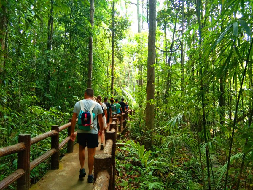 Krabi: Tiger Temple, Hot Springs & Crystal Pool Jungle Tour - Walking into the Emerald Pool rainforest