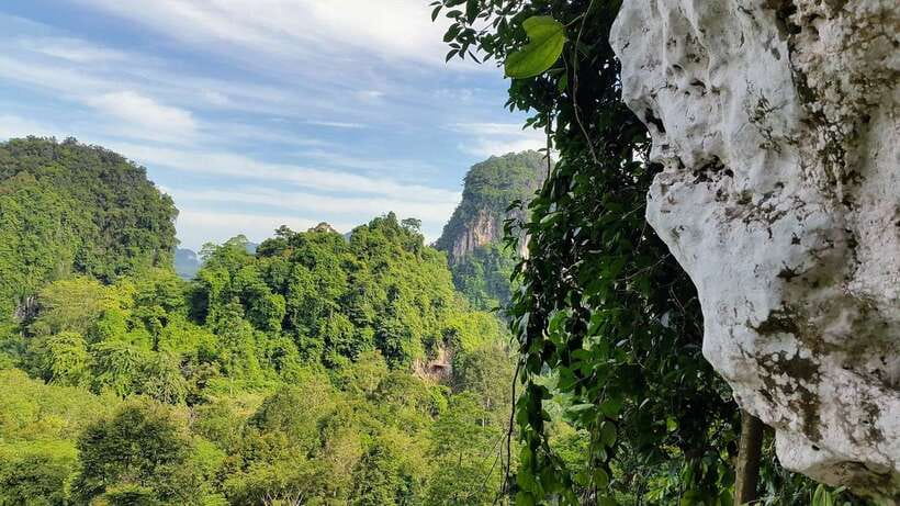 Krabi: Ziplining with Abseiling and Rock Climbing Options - Pickup from Ao Nang, Ao Nam Mao, and Railay