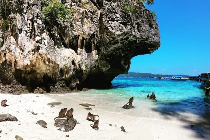 Phi Phi Islands Speedboat Tour Adventure from Krabi - Viking Cave and Monkey Beach by boat