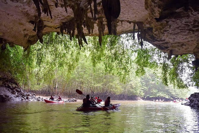 Phi Phi, Maya and Bamboo Islands Day Tour by Speedboat in Krabi - Monkey Beach is more about the shoreline than getting ashore