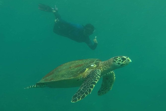 Private Phi Phi & 4 Islands Sunset Cruise by Speedboat - from Krabi - Bamboo Island and the open-water stops