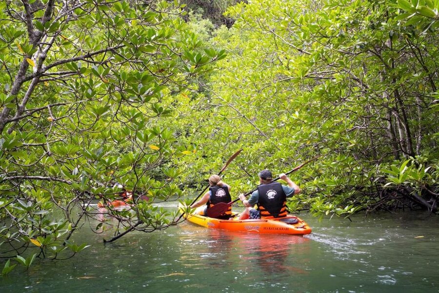 Sea Kayaking in Ao Thalane & Optional Full-Day Hong Island - Why Ao Thalane is worth your morning