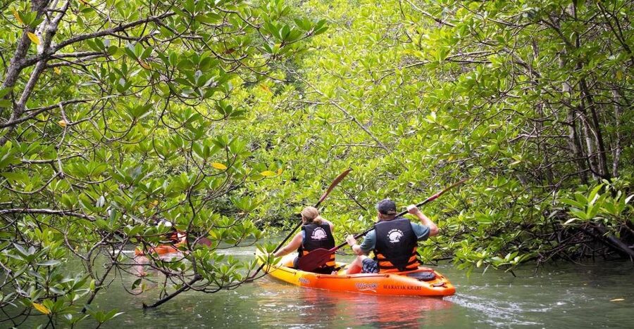 Sea Kayaking in Ao Thalane & Optional Full-Day Hong Island - Adding Hong Island for a longer day