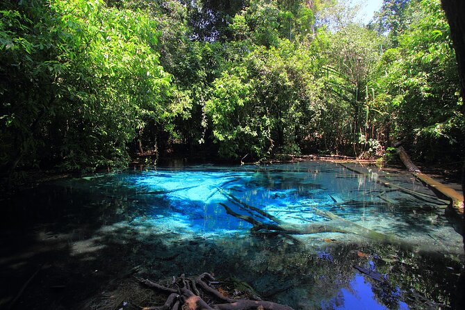 Tiger Cave Temple, Emerald Pool & Hot Springs Tour from Krabi - A three-part day beyond Krabi’s beaches